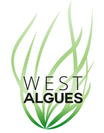 West Algues